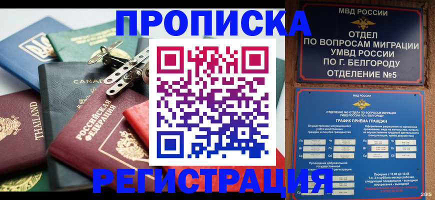 временная регистрация недорого в Обояни